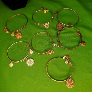 Alex Ani Bracelet Lot 7 Bracelets Charms Love Key Earth Sterling Silver